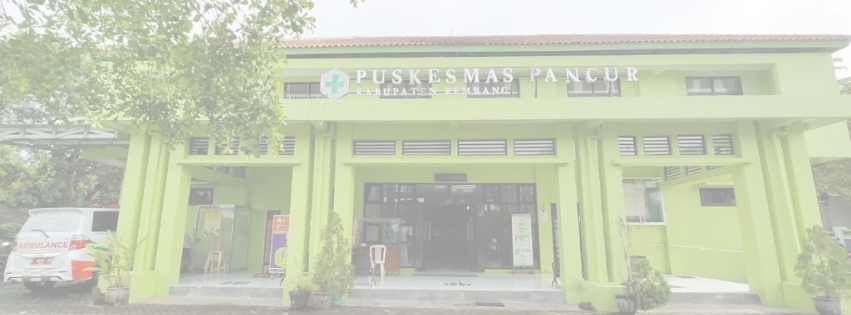 Visi, Misi, Tata Nilai, Tujuan, dan Komitmen Puskesmas Pancur